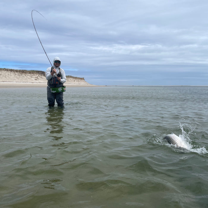 Getting Started with Fly Fishing for Striped Bass in the Northeast