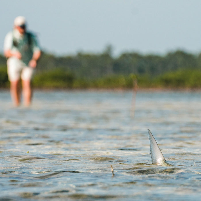 DIY Bonefishing in the Bahamas: 5 Things I Learned