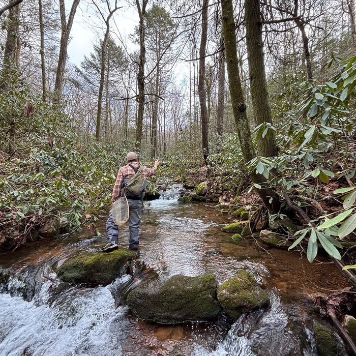 Blue Lining for Wild Trout on the Fly in Pennsylvania