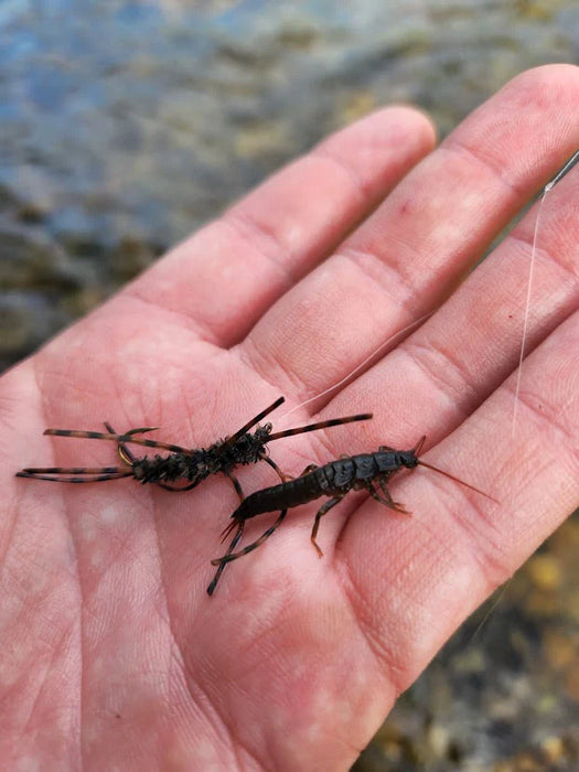 How to Choose the Right Fly for Trout