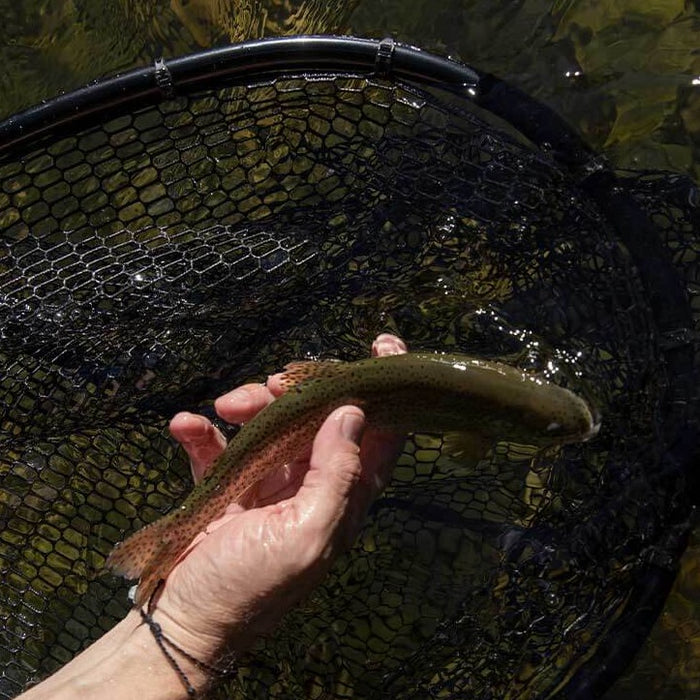 Loon North Fork Boat Net