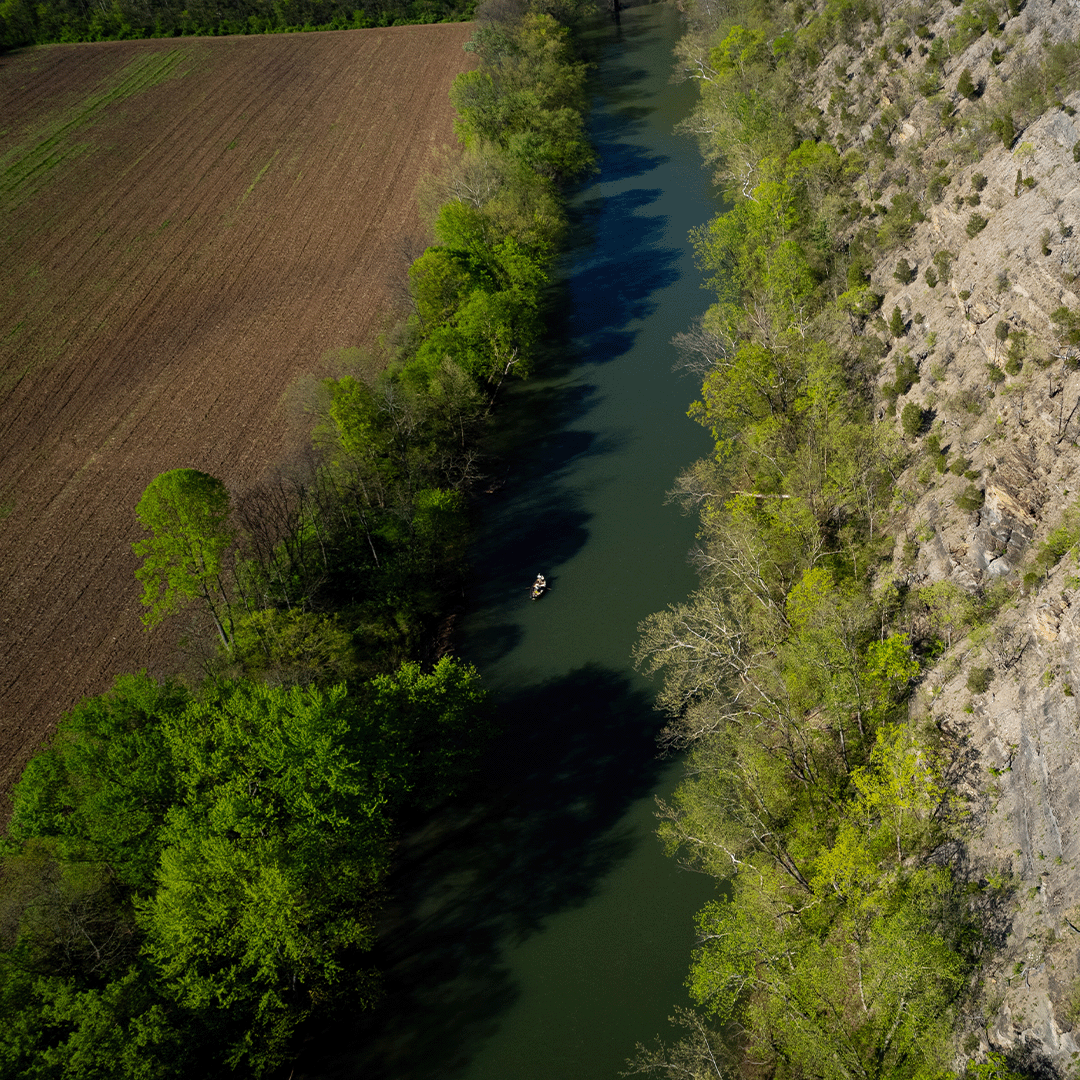 North Branch Potomac River