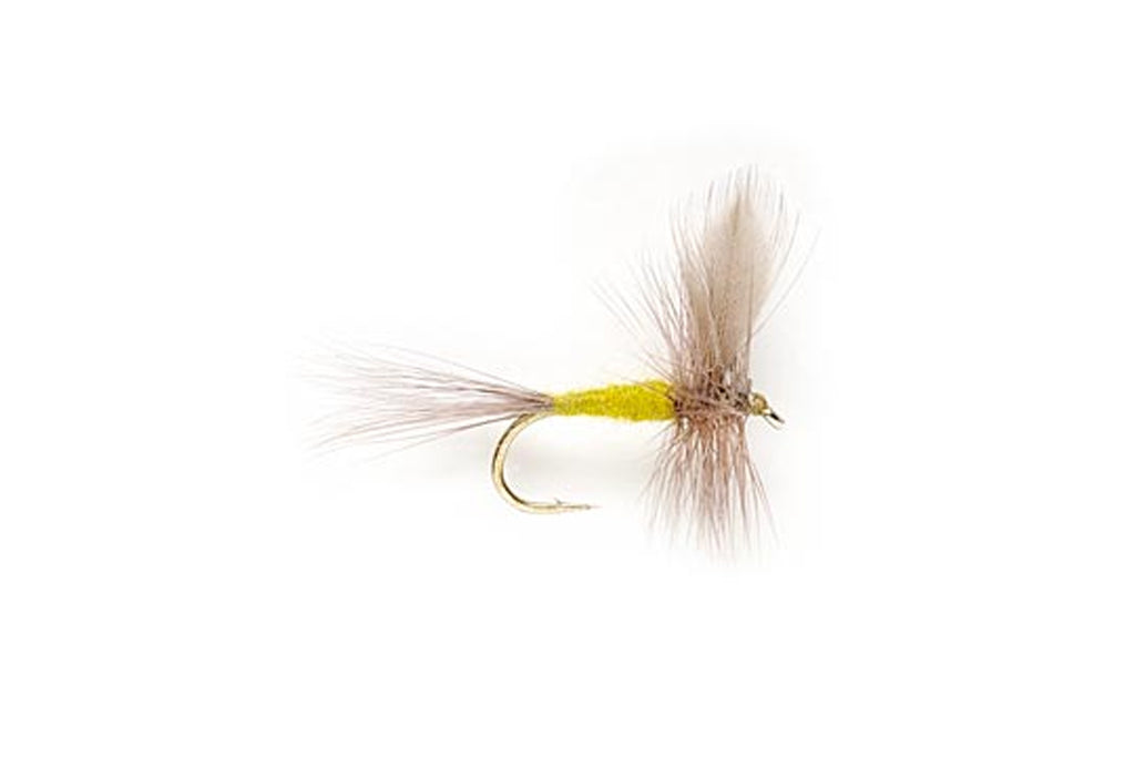 BWO — TCO Fly Shop