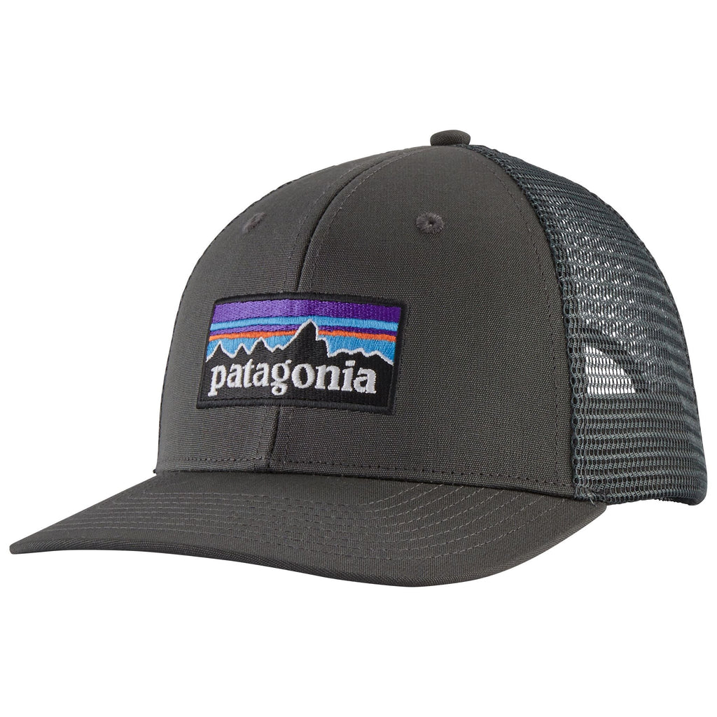 Patagonia P 6 Logo Trucker Hat Wispy Green