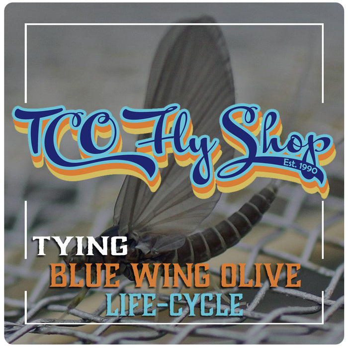 TCO Fly Tying Class: Blue Wing Olive Life Cycle - State College